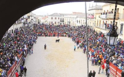 El tripartito sigue sin conseguir que el Carnaval del Toro sea Fiesta Internacional