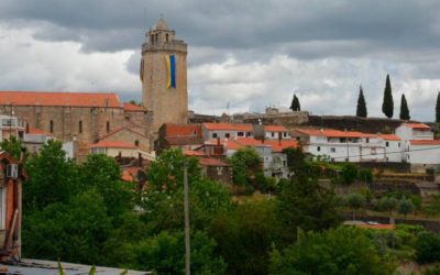 Una cita con el mejor bacalao y los mejores vinos de Portugal a un paso de Salamanca