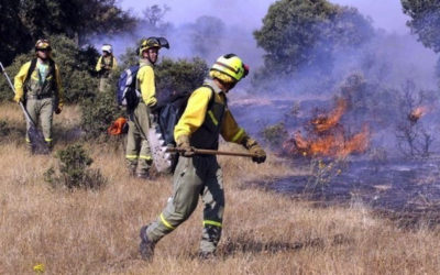 La Diputación recibe 420.000 euros para contratar trabajadores de prevención de incendios