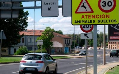 La limitación a 30km/h por los jabalíes, en jaque tras un año sin rastro de ellos