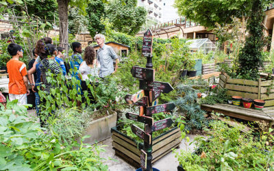 Week-end de fête pour les jardins et l’agriculture urbaine