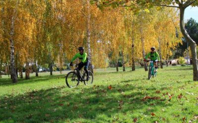 Guijuelo, un lugar para vivir