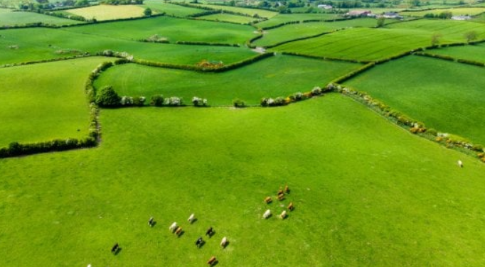 I paradisi fiscali della porta accanto: tra Irlanda, Olanda & Co., all’Italia mancano 7 miliardi